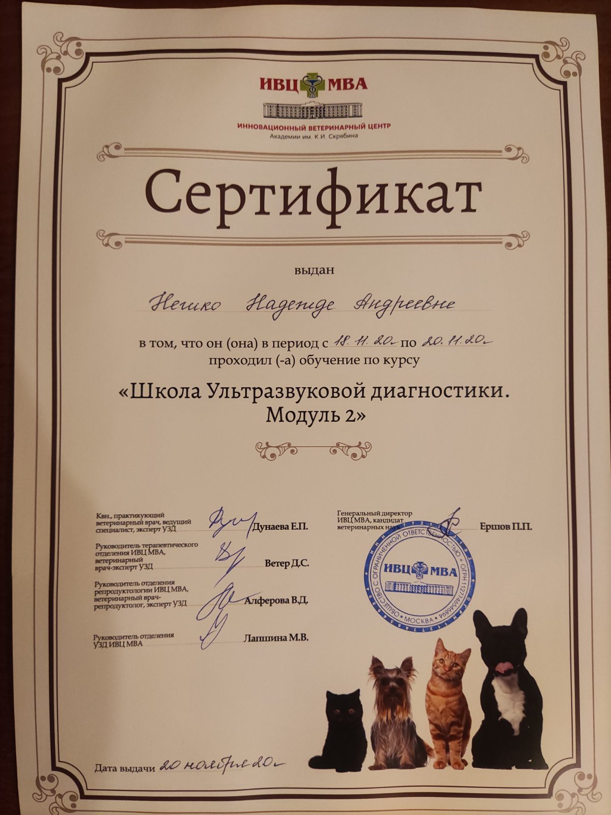 изображение viber 2020 11 26 18 20 05