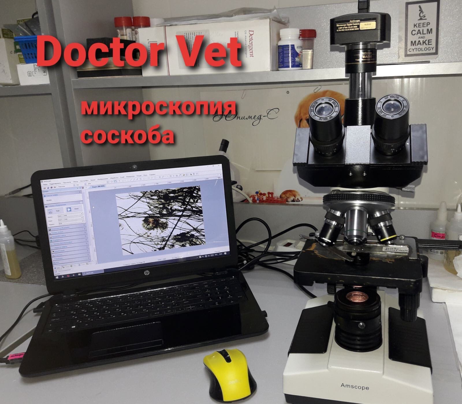 микроскопия соскоба